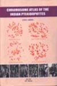 Food Processing and Preservation in 2 Vols