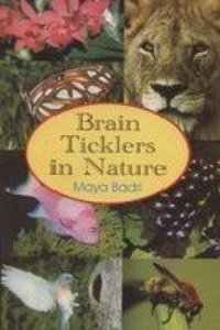 Brain Ticklers in Nature