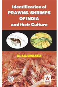 Identification of Prawns/Shrimps and their Culture