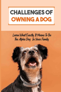 Challenges Of Owning A Dog