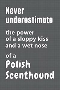 Never underestimate the power of a sloppy kiss and a wet nose of a Polish Scenthound