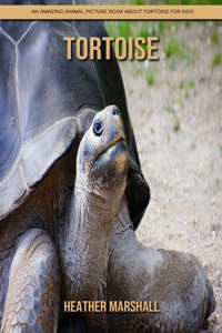 Tortoise