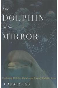 The Dolphin in the Mirror