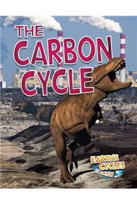 Carbon Cycle