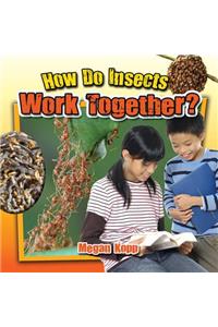 How Do Insects Work Together?