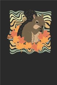Squirrels