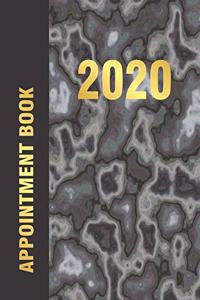 2020 Appointment Book
