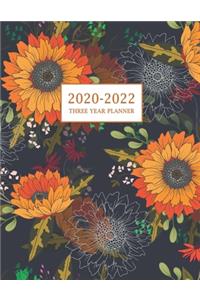 2020-2022 Three Year Planner