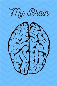 My Brain