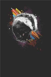 Badger with Color Splash