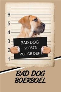 Bad Dog Boerboel