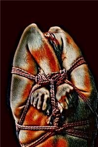 Das Bondage Tagebuch