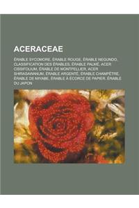 Aceraceae: Erable Sycomore, Erable Rouge, Erable Negundo, Classification Des Erables, Erable Palme, Acer Cissifolium, Erable de M