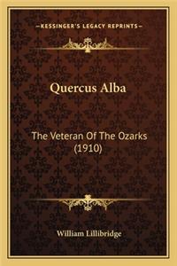 Quercus Alba