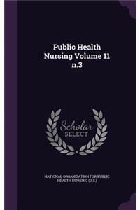 Public Health Nursing Volume 11 n.3