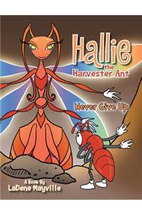 Hallie the Harvester Ant