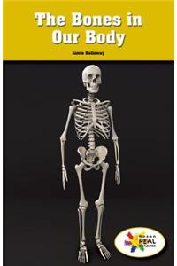 Bones in Our Body