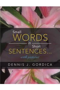 Small Words in Short Sentences...with pictures