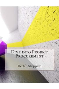 Dive Into Project Procurement