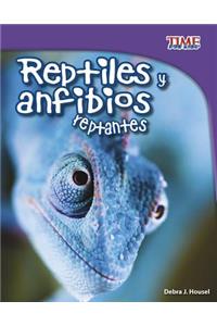 Reptiles Y Anfibios Reptantes
