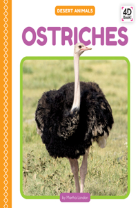 Ostriches