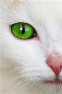 Green Eyed Cat Journal