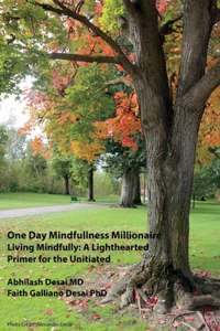 One Day Mindfulness Millionaire: Living Mindfully: A Lighthearted Primer for the Uninitiated