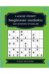 Beginner Sudoku