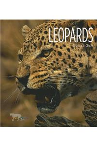 Leopards