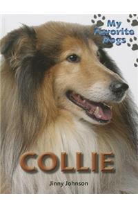 Collie