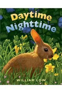Daytime Nighttime