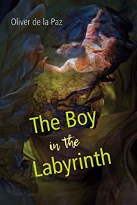 Boy in the Labyrinth