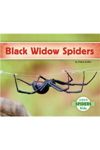 Black Widow Spiders