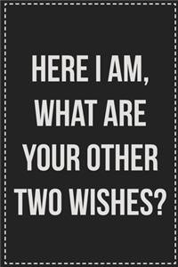 Here I Am, What Are Your Other Two Wishes?