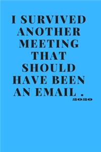 I survived another meeting that should have been an email.