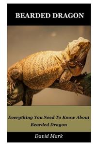 Bearded Dragon