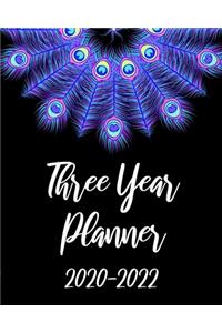 Three Year Planner 2020-2022