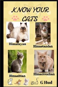 Know Your Cats