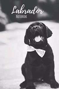 Labrador Notebook