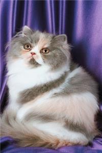 2020 Weekly Planner Fluffy Kitty Cat Photo 134 Pages