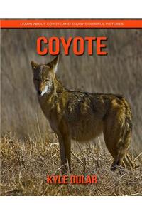 Coyote! Learn about Coyote and Enjoy Colorful Pictures