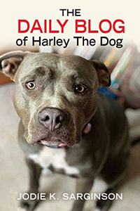 Daily Blog of Harley The Dog