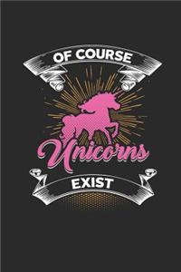 Of Course Unicorns Exist Sketchbook