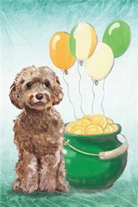 Cockapoo