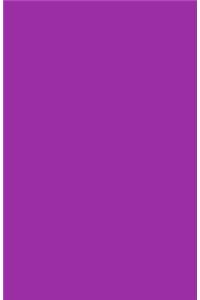 Violet Notebook