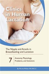 Nipple and Areola in Breastfeeding and Lactation