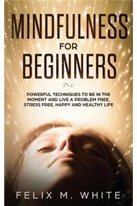 Mindfulness for Beginners