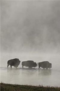 Buffalo in the Mist Journal