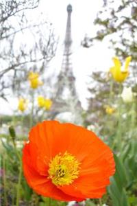 An Orange Poppy and the Eiffel Tower Journal