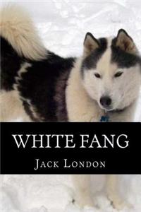White Fang